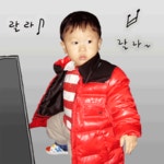 기가막힌 움짤모음 | 네이트 판