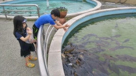 뽐뿌:캠핑포럼 - 양평 나들이 양평 나들이