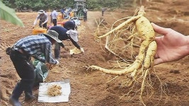 좋은아침 : 뉴스 : SBS 함께 만드는 기쁨 SBS