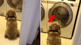 침대 : 뉴스 : SBS 함께 만드는 기쁨 SBS