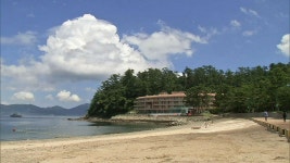 장광 : 뉴스 : SBS 함께 만드는 기쁨 SBS