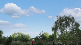 강일 : 뉴스 : SBS 함께 만드는 기쁨 SBS