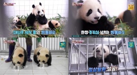 tv동물농장 : 통합검색 : SBS SBS