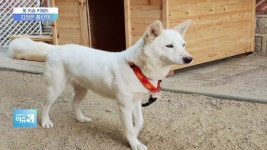 송강 : 뉴스 : SBS 함께 만드는 기쁨 SBS