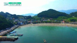 설리 : 뉴스 : SBS SBS