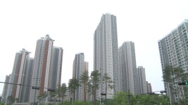 이유진 : 뉴스 : SBS SBS
