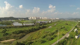 강서연 : 뉴스 : SBS 함께 만드는 기쁨 SBS