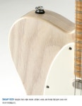 스쿨뮤직 - 약속을 지키는 사람들 스쿨뮤직 - Reedoox Vintage Custom Tele