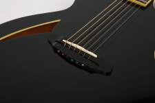 스쿨뮤직 - 약속을 지키는 사람들 스쿨뮤직 - [특가]LTD ThinLine TL-6 BLK / 세미할로 어쿠스틱 3943