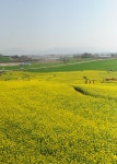 [여행] 뉘 부르는 소리 들리는가… - 세상을 보는 눈, 글로벌 미디어 - 세계일보 - [여행] 뉘 부르는 소리 들리는가…