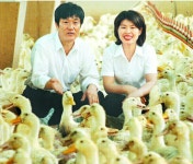 [서울신문] [농업 희망을 쏜다] (15) 고객입맛 맞춰 틈새시장 공략 [농업 희망을 쏜다] (15) 고객입맛 맞춰 틈새시장 공략