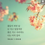 [서울신문] [카드뉴스] “어둠은 빛을 이길 수 없다” [카드뉴스] “어둠은 빛을 이길 수 없다”