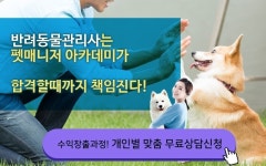 미래 유망 직업! 반려 동물 관리사 정보! | 네이트 판