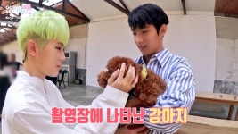 케이돌 - 안녕 넌 이름이 모니?