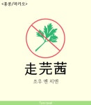 베스트 - 여행때 필수인 고수 빼주세요.jpg