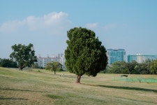 더쿠 - 공공자전거 따릉이 타고 올림픽공원 다녀온 후기.jpg