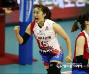 더쿠 - v리그 여배 화이팅 원탑