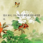 황제의 펫 멋지게 발췌하기.jpg - BL 카테고리