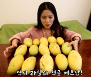 베트남에서 망고, 파인애플을 각각 만원어치 사보았다.jpg - 스퀘어 카테고리