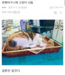 더쿠 - 편의점 갤러리의 흔한 손님