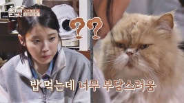 스퀘어 - 미미의 태세전환.jpg