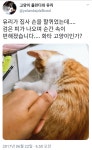 더쿠 - 화타의 재림