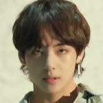 더쿠 - 방탄 뷔는 걍 얼굴만 보였어 꼬랑지고 귀걸이고 안보였다 ㅋㅋ