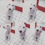 더쿠 - 꼬마 이렇게 생김 ㅋㅋㅋㅋㅋㅋㅋㅋ