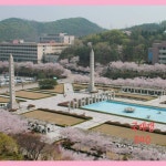 스퀘어 - 드디어 개장한 경희랜드