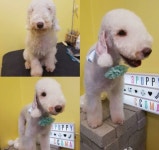 더쿠 - 꼬마 이렇게 생김 ㅋㅋㅋㅋㅋㅋㅋㅋ