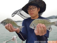 바다낚시 > 점주선장조황 > 갯바위그리고좌대 고기는 나온데 해성골드김유석호10/1일