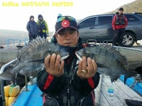 (南)남해조황 - 《감성돔》4짜 4짜외 대물 세방 팅 팅~
