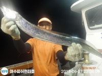 바다낚시 > 점주선장조황 > [여수피쉬헌터호]씨알좋은 한치 물뱐고기반!!!!!!!