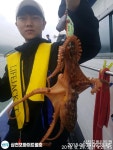 바다낚시 > 점주선장조황 > #6월29일돌문어조황#30일오후선수모집합니다 6월29일돌문어조황30일오후선수모집합니다