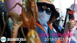 오전ㆍ오후 초대박(월요일부터예약) 인터넷바다낚시 - 대한민국 바다낚시 포탈사이트