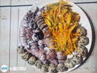 진해뉴월드피싱 ♡왕한치 ♡{오늘예약가능} 인터넷바다낚시 - 대한민국 바다낚시 포탈사이트