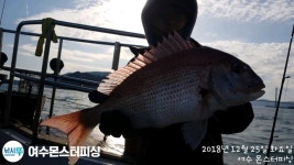 바다낚시 > 점주선장조황 > 몬스터호 내일 거문도권 참돔 타이라바 출조합니다.
