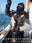 바다낚시 > 점주선장조황 > 타이라바♡파닥파닥실시간참돔들♡(월.수.목.예약중