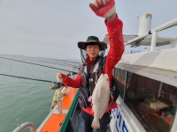 (西)서해조황 - [목포농어 감성돔] 01일 오늘도 씨알 마리수 좋네요 목포포인트낚시 조황