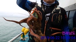 바다낚시 > 점주선장조황 > 실전낚시 녹동 앞바다 문어조황 실전낚시 녹동 앞바다 문어조황
