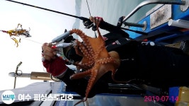 바다낚시 > 점주선장조황 > KD호 14일 돌문어  정말 재밋게 하고 왔읍니다 KD호 14일 돌문어 정말 재밋게 하고 왔읍니다