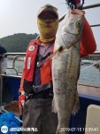 (西)서해조황 - 7,15 격포새천년호 80,70싸이즈농어와 광어
