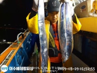 바다낚시 > 점주선장조황 > (여수베테랑피싱) 초보도 쿨러 채우고.금요일 자리여유