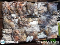 바다낚시 > 점주선장조황 > 돌문어 갑오징어 조황 좋습니다
