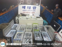 바다낚시 > 점주선장조황 > (여수베테랑피싱) 갈치 선비인하 13만원  씨즌 끝까지