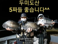 바다낚시 > 점주선장조황 > ((한사리))두미&갈도 52-52-50-47-46-46cm 걸면5짜80%입니다 (예약필수)