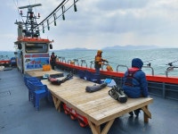 (西)서해조황 - 목포강태공호 봄도다리 출조 모집합니다