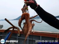 (南)남해조황 - 여수명랑피싱 폭탄선비로 모십니다