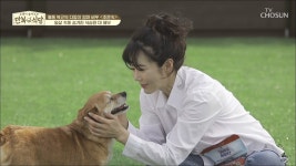 TV CHOSUN 
