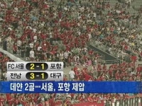 데얀 2골 서울, 포항에 2-1 승리